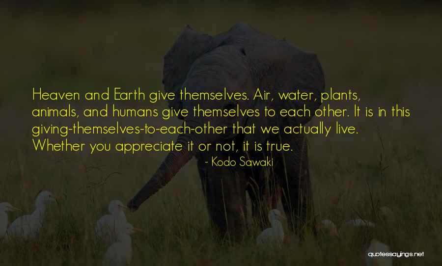 Animals In Heaven Quotes By Kodo Sawaki Animals In Heaven Quotes By Kodo Sawaki