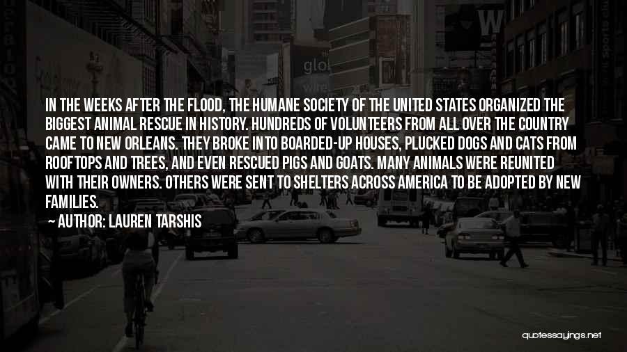 Animals In Shelters Quotes By Lauren Tarshis