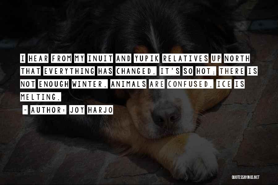 Animals In Winter Quotes By Joy Harjo