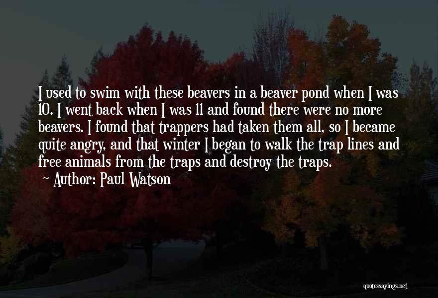 Animals In Winter Quotes By Paul Watson