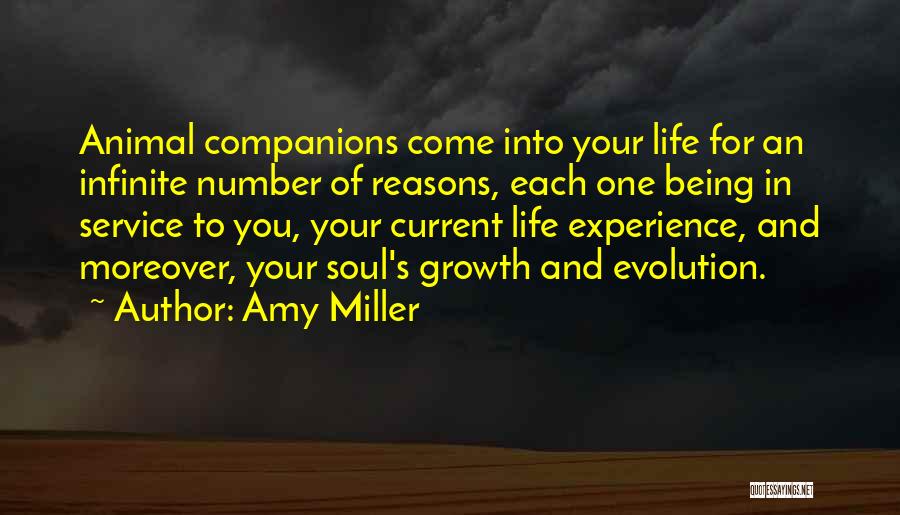 Animals In Your Life Quotes By Amy Miller