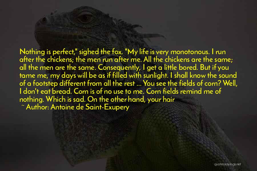 Animals In Your Life Quotes By Antoine De Saint-Exupery