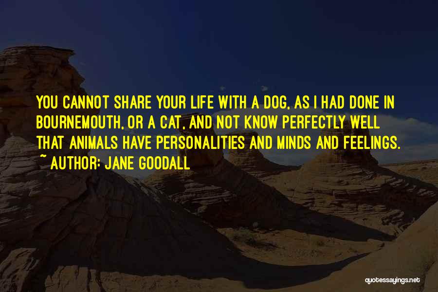 Animals In Your Life Quotes By Jane Goodall