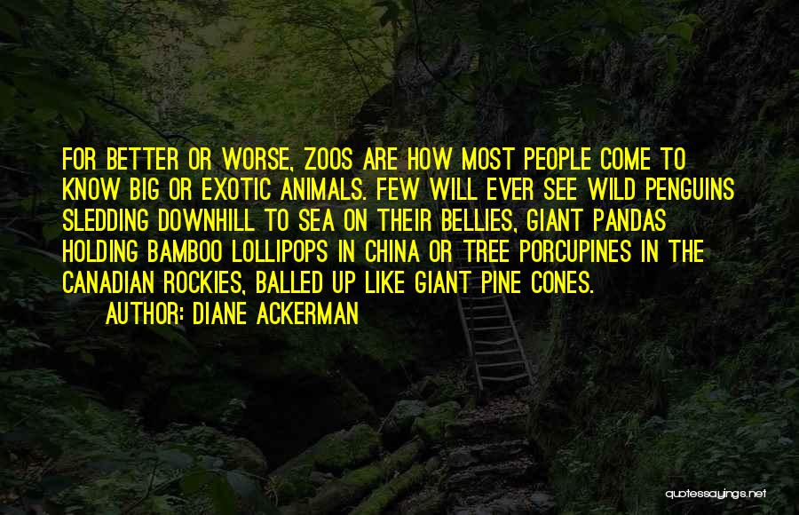 Animals In Zoos Quotes By Diane Ackerman