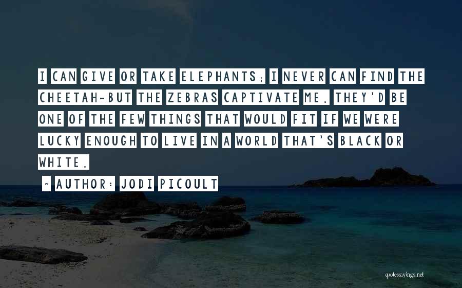 Animals In Zoos Quotes By Jodi Picoult