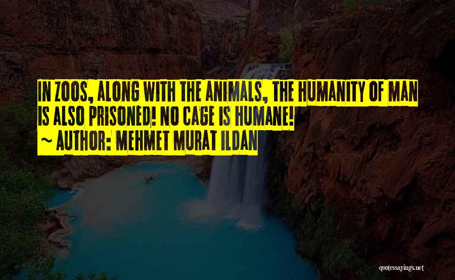 Animals In Zoos Quotes By Mehmet Murat Ildan
