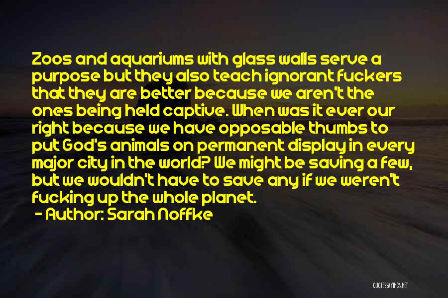 Animals In Zoos Quotes By Sarah Noffke