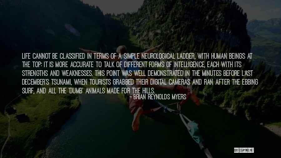 Animals Intelligence Quotes By Brian Reynolds Myers Animals Intelligence Quotes By Brian Reynolds Myers