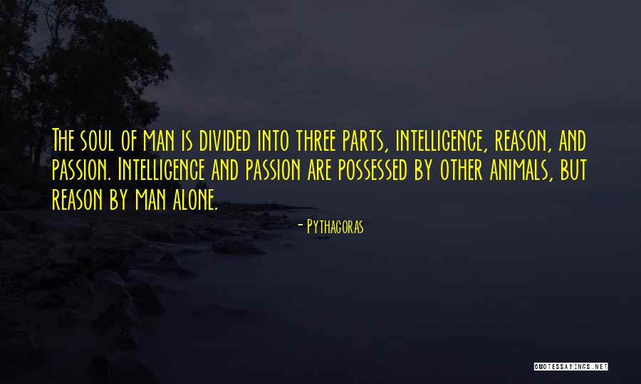 Animals Intelligence Quotes By Pythagoras Animals Intelligence Quotes By Pythagoras