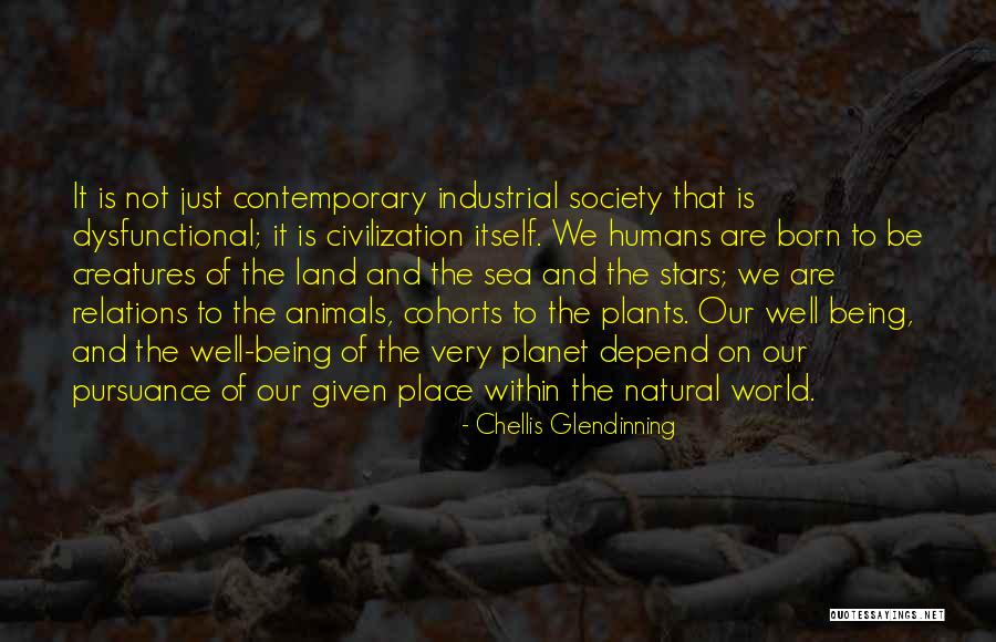 Animals Just Born Quotes By Chellis Glendinning Animals Just Born Quotes By Chellis Glendinning