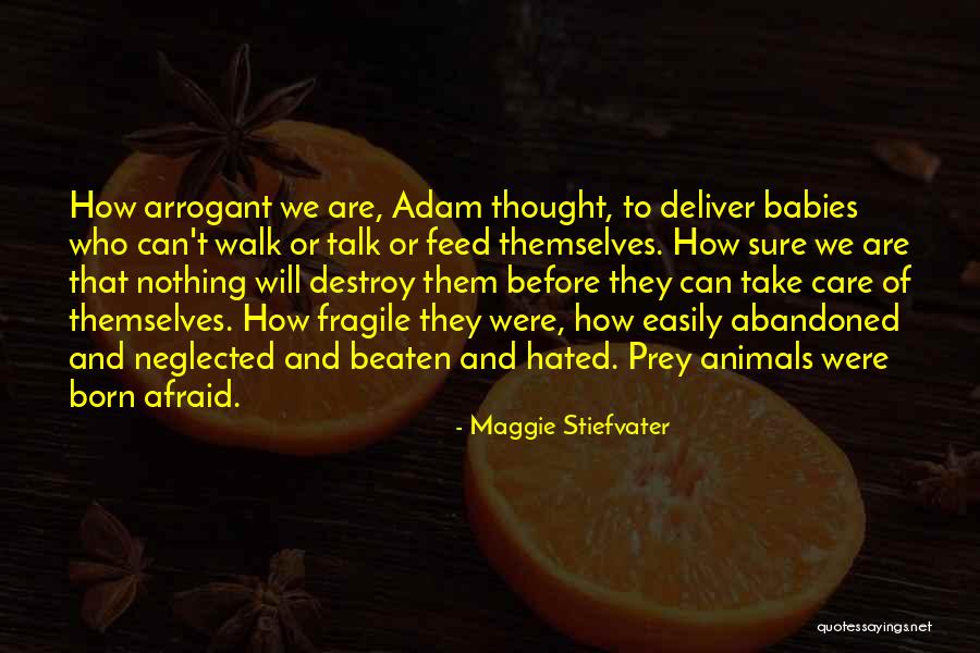 Animals Just Born Quotes By Maggie Stiefvater