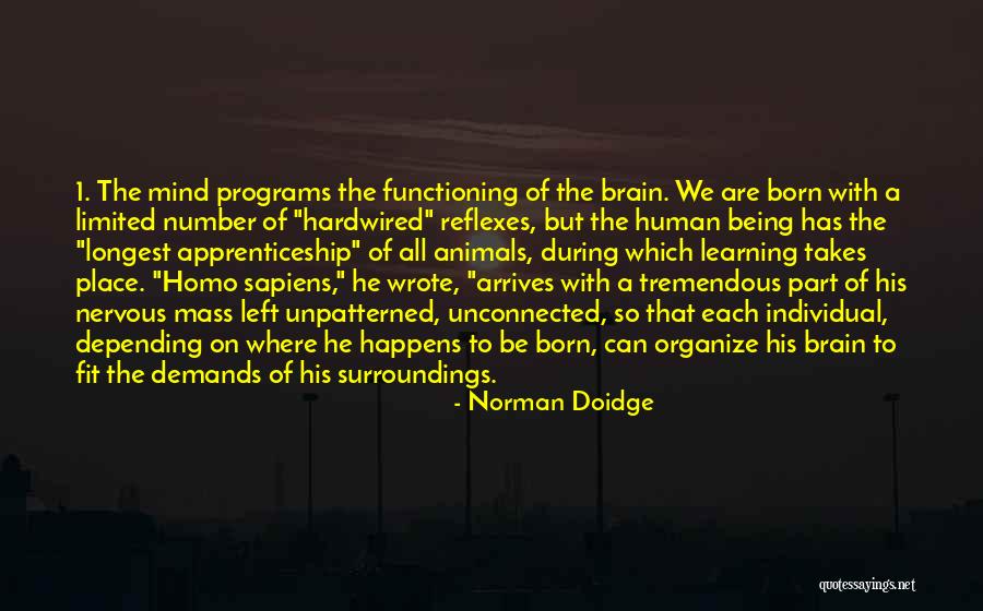 Animals Just Born Quotes By Norman Doidge