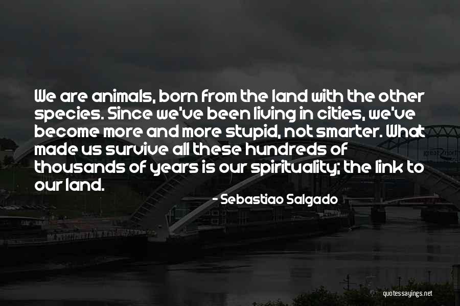 Animals Just Born Quotes By Sebastiao Salgado