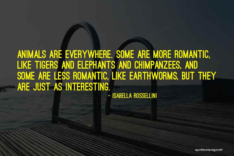 Animals Just Like Animals Quotes By Isabella Rossellini Animals Just Like Animals Quotes By Isabella Rossellini