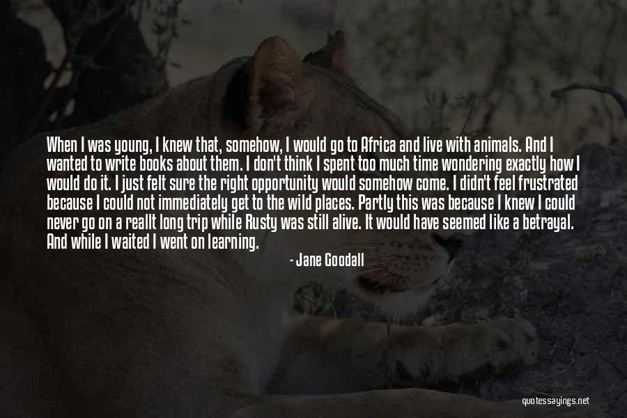 Animals Just Like Animals Quotes By Jane Goodall Animals Just Like Animals Quotes By Jane Goodall