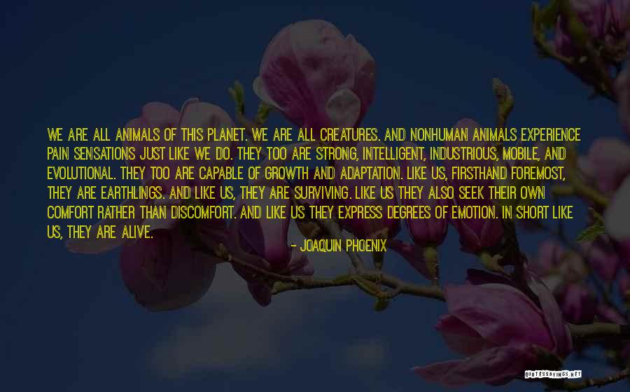 Animals Just Like Animals Quotes By Joaquin Phoenix Animals Just Like Animals Quotes By Joaquin Phoenix