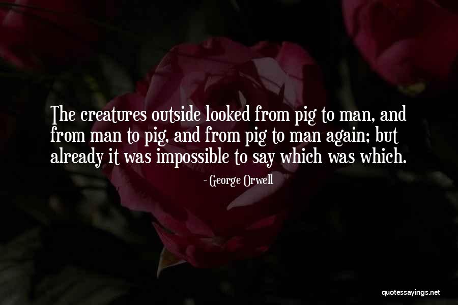 Animals Man Quotes By George Orwell Animals Man Quotes By George Orwell
