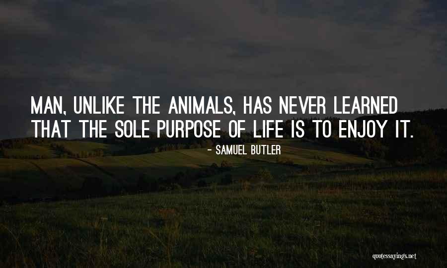 Animals Man Quotes By Samuel Butler Animals Man Quotes By Samuel Butler