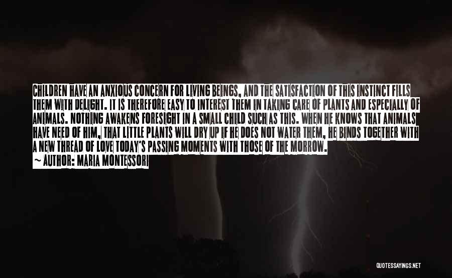 Animals Need Love Quotes By Maria Montessori