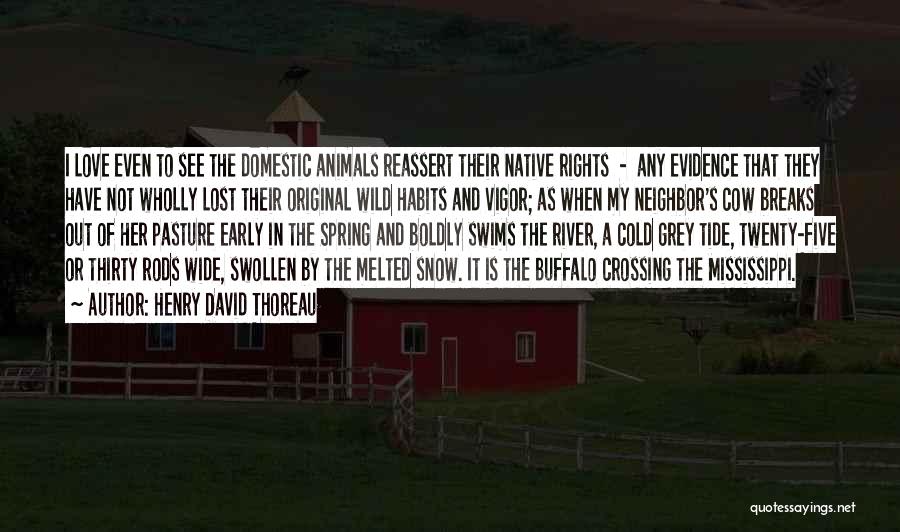 Animals Rights Quotes By Henry David Thoreau
