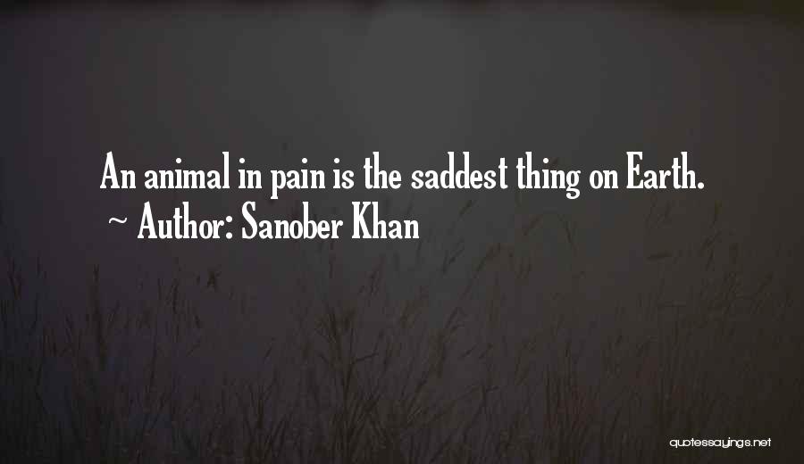 Animals Rights Quotes By Sanober Khan
