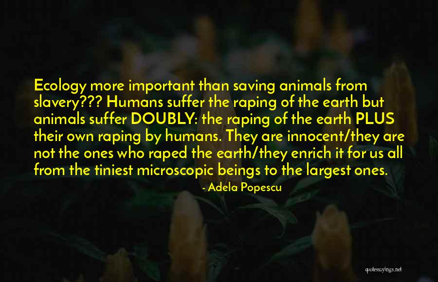 Animals Saving Humans Quotes By Adela Popescu Animals Saving Humans Quotes By Adela Popescu