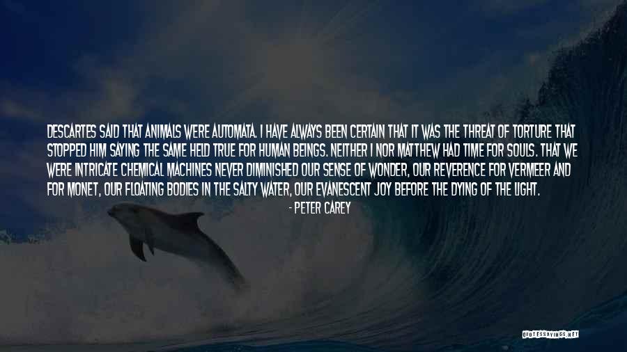 Animals Souls Quotes By Peter Carey Animals Souls Quotes By Peter Carey