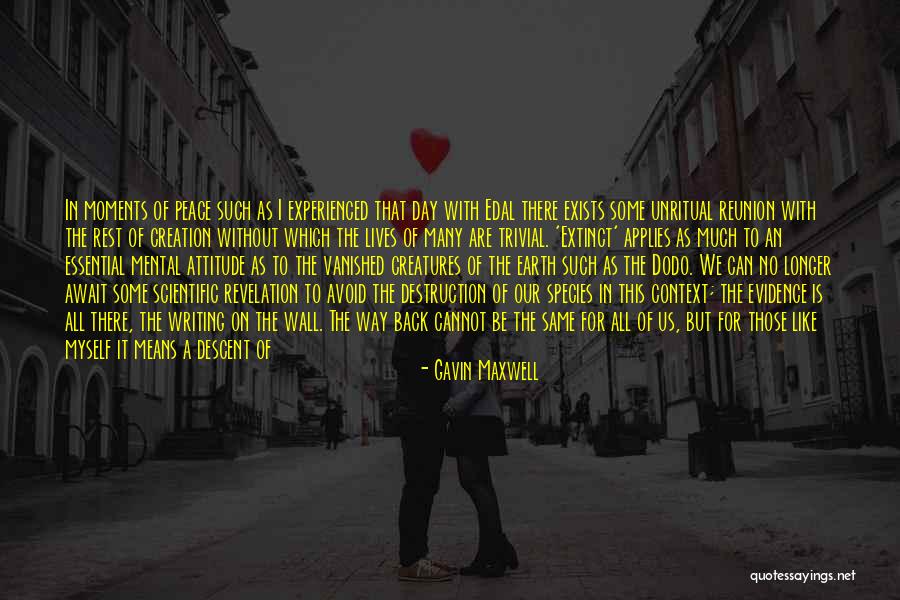 Animals They Are Extinct Quotes By Gavin Maxwell Animals They Are Extinct Quotes By Gavin Maxwell
