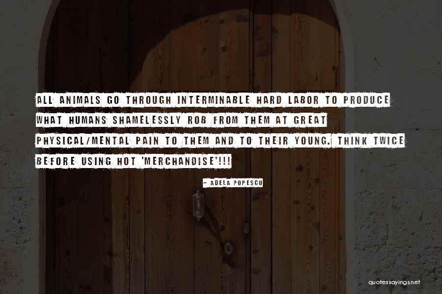 Animals Thinking Quotes By Adela Popescu Animals Thinking Quotes By Adela Popescu
