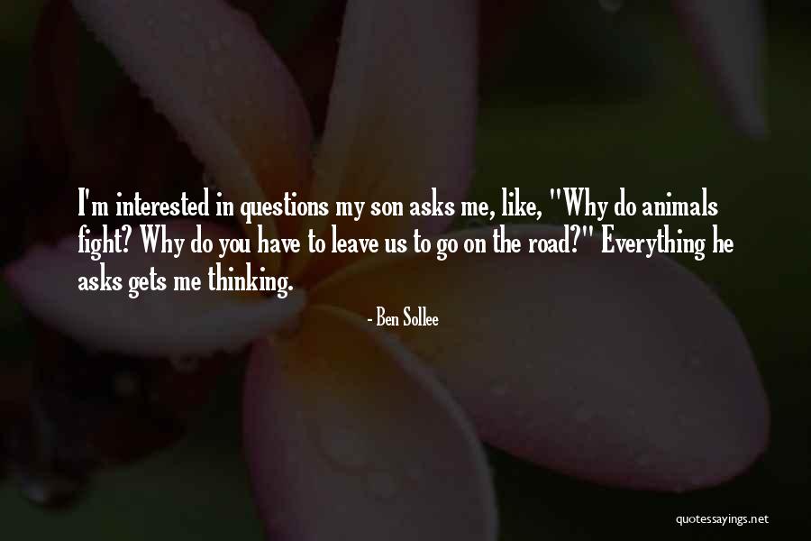 Animals Thinking Quotes By Ben Sollee Animals Thinking Quotes By Ben Sollee