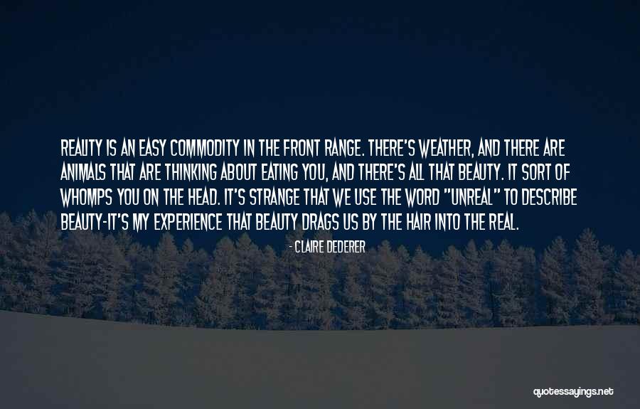 Animals Thinking Quotes By Claire Dederer Animals Thinking Quotes By Claire Dederer
