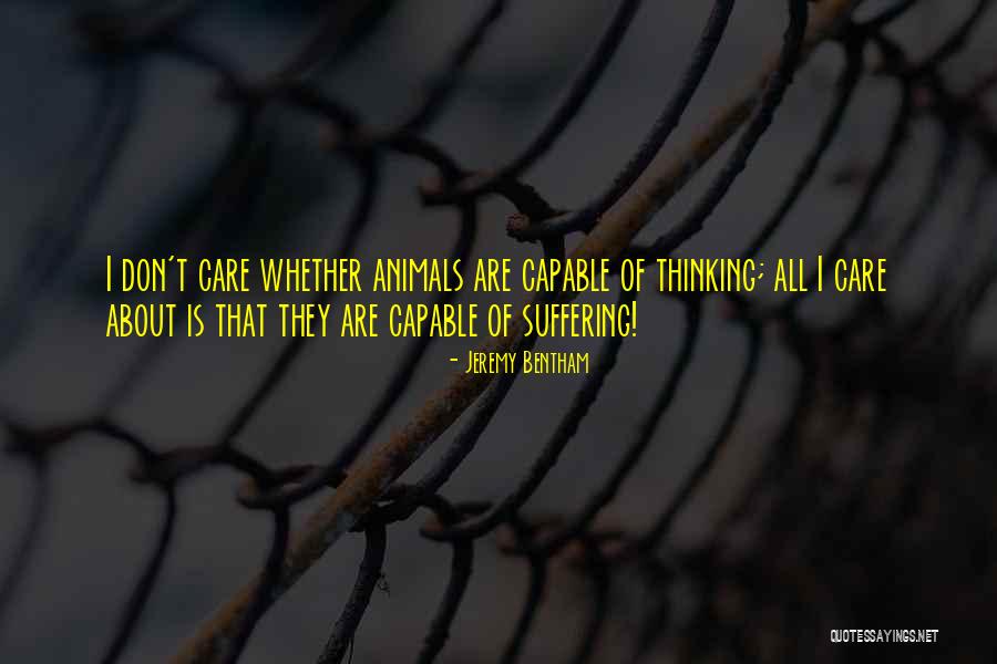 Animals Thinking Quotes By Jeremy Bentham Animals Thinking Quotes By Jeremy Bentham