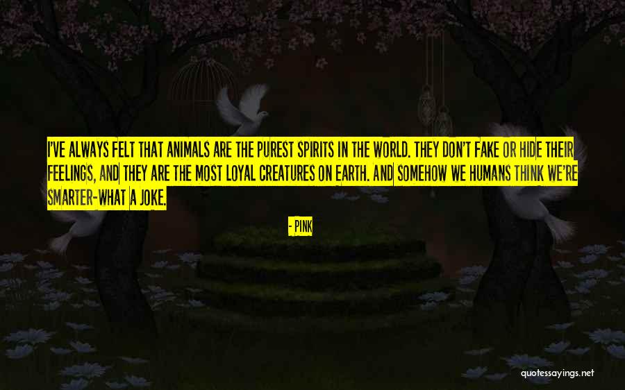 Animals Thinking Quotes By Pink Animals Thinking Quotes By Pink
