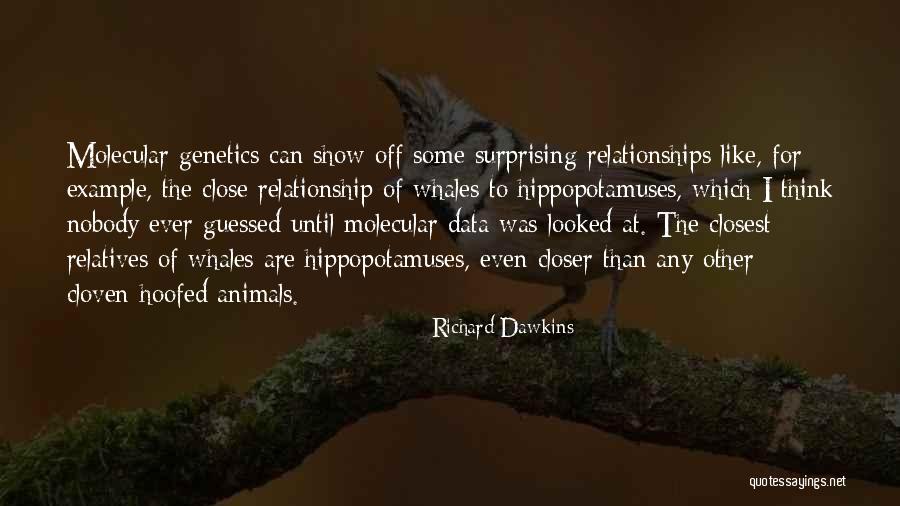 Animals Thinking Quotes By Richard Dawkins Animals Thinking Quotes By Richard Dawkins