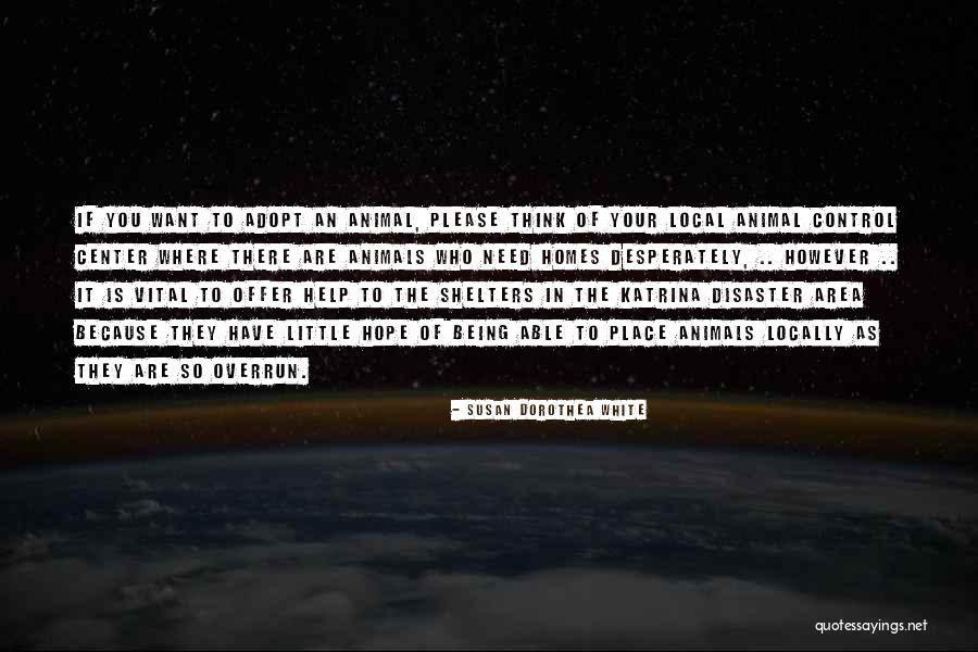 Animals Thinking Quotes By Susan Dorothea White Animals Thinking Quotes By Susan Dorothea White