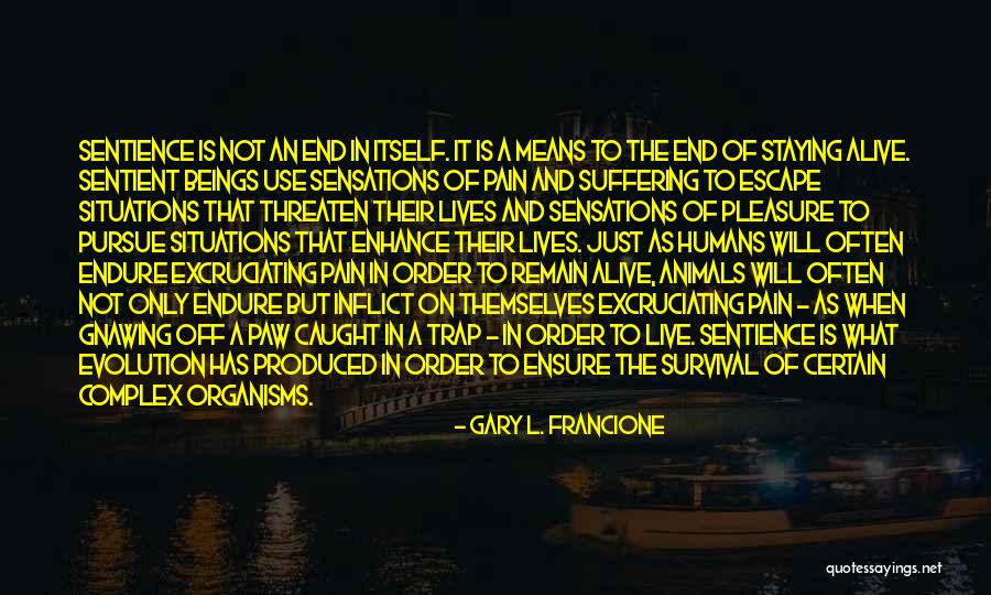 Animals Versus Humans Quotes By Gary L. Francione