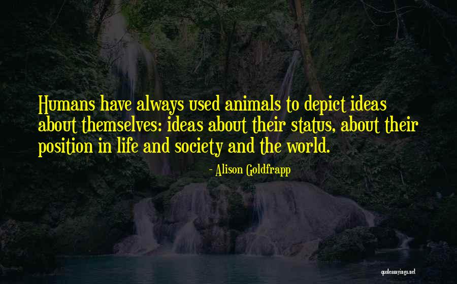 Animals Vs Humans Quotes By Alison Goldfrapp Animals Vs Humans Quotes By Alison Goldfrapp