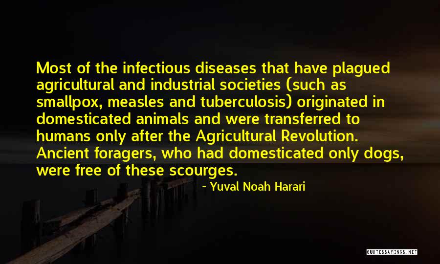 Animals Vs Humans Quotes By Yuval Noah Harari