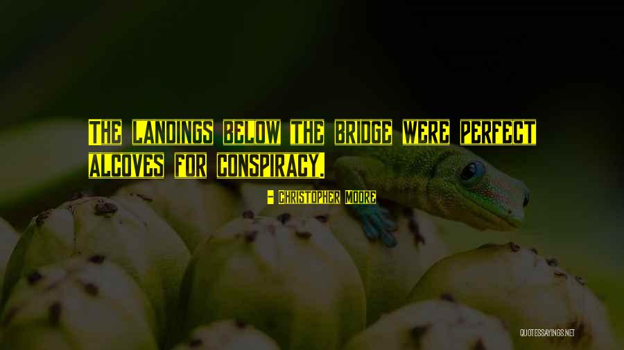 Animals Wearing Quotes By Christopher Moore Animals Wearing Quotes By Christopher Moore