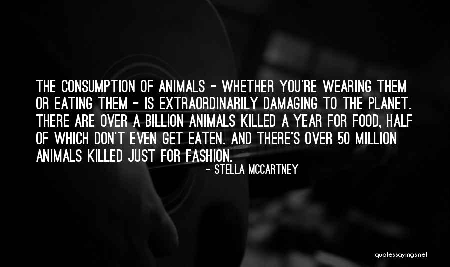 Animals Wearing Quotes By Stella McCartney Animals Wearing Quotes By Stella McCartney