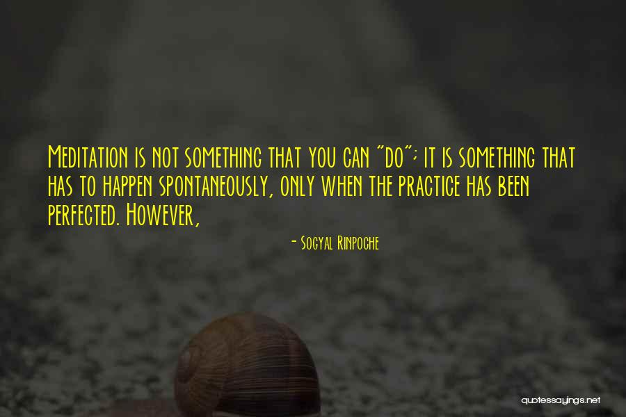 Animaux Domestiques Quotes By Sogyal Rinpoche Animaux Domestiques Quotes By Sogyal Rinpoche