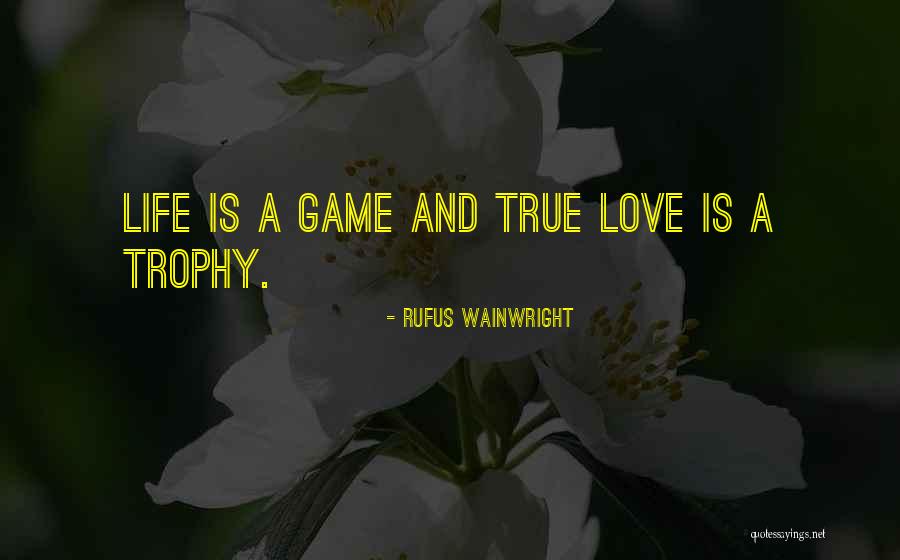 Animismus Quotes By Rufus Wainwright Animismus Quotes By Rufus Wainwright