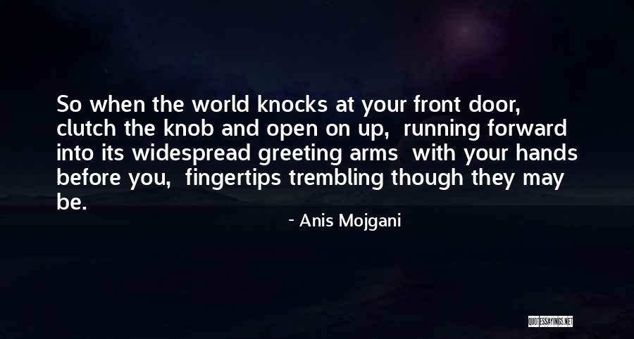 Anis Mojgani Quotes 1860877