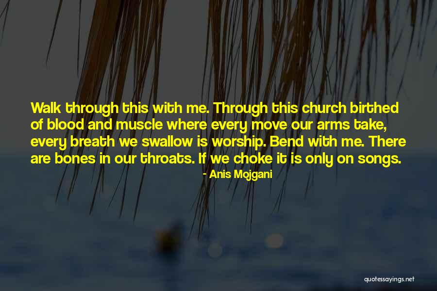 Anis Mojgani Quotes 1894120