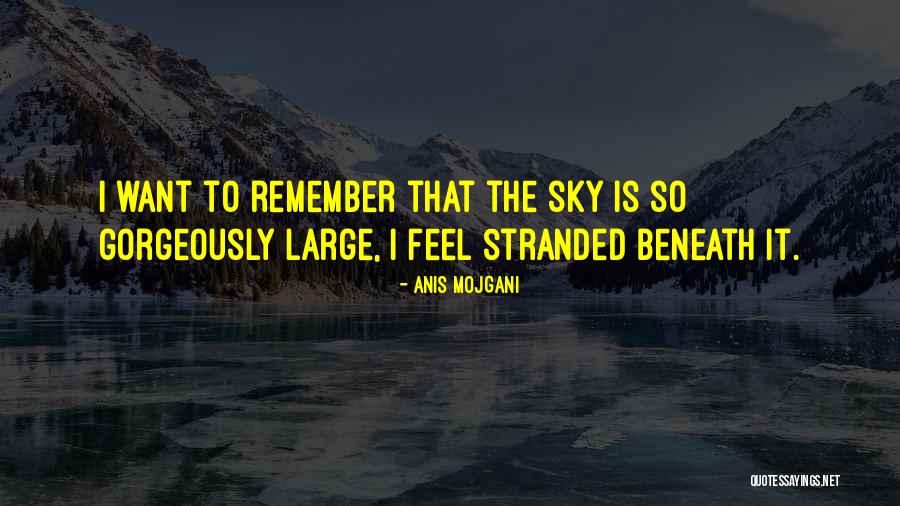 Anis Mojgani Quotes 1921072 Anis Mojgani Quotes 1921072