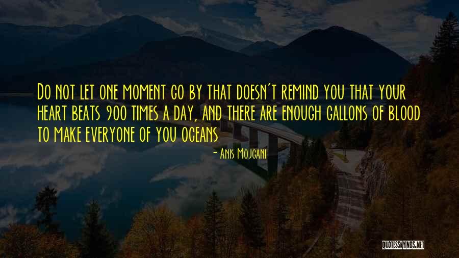 Anis Quotes By Anis Mojgani Anis Quotes By Anis Mojgani