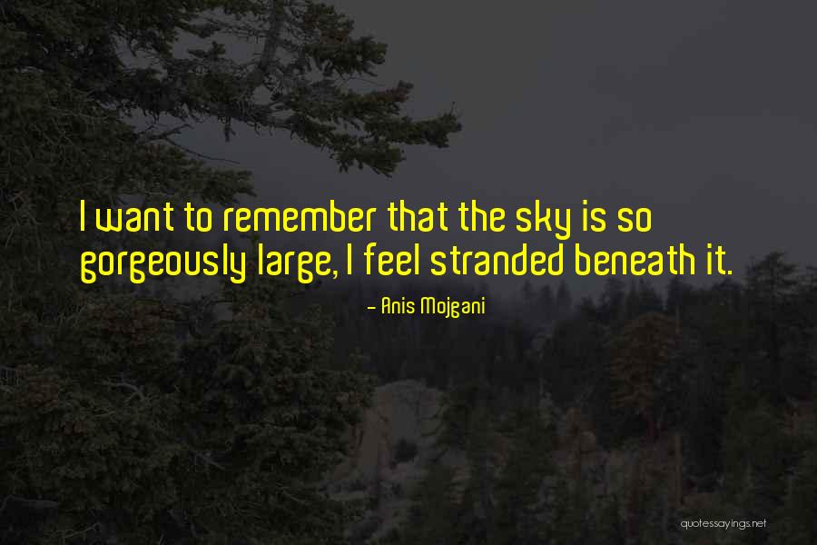 Anis Quotes By Anis Mojgani Anis Quotes By Anis Mojgani
