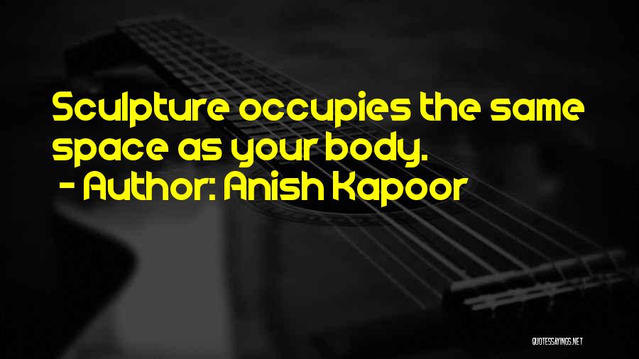 Anish Kapoor Quotes 1319822