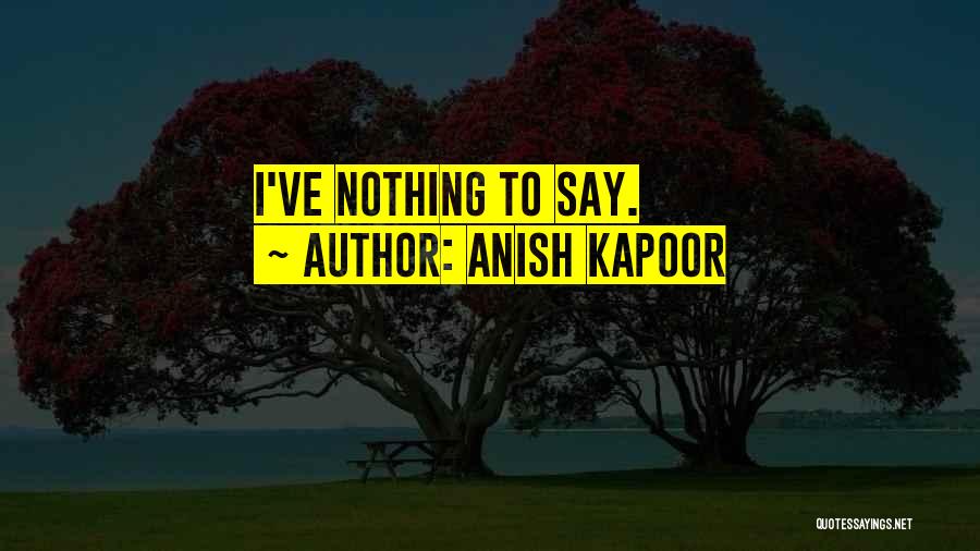 Anish Kapoor Quotes 1336886