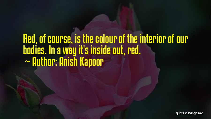 Anish Kapoor Quotes 1834120
